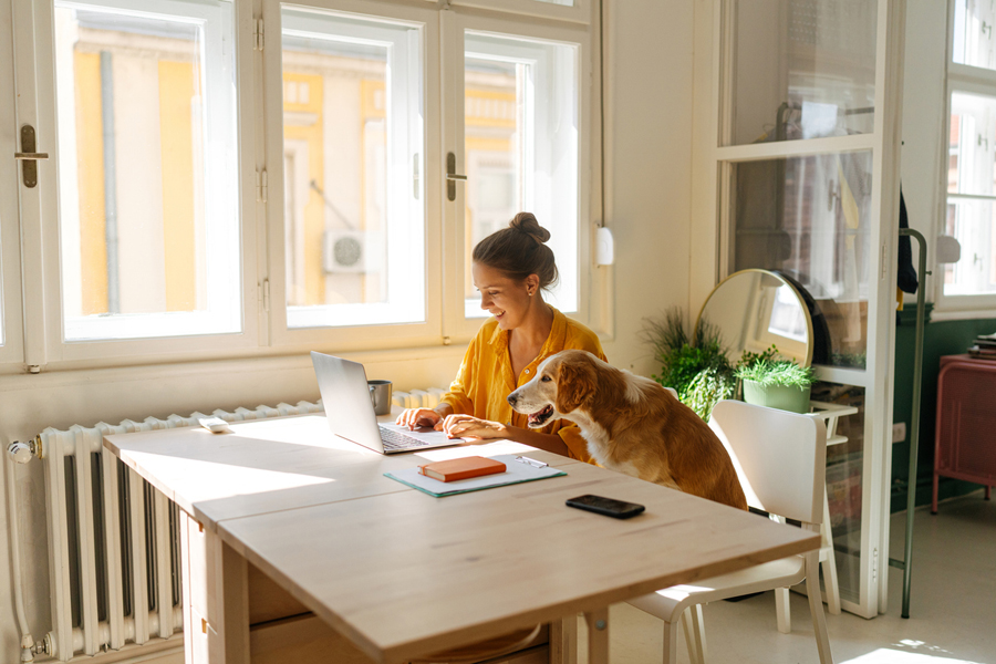 Technologie et travail hybride: une jeune femme travaille depuis son bureau à domicile avec pour assistant son chien de compagnie