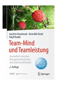 Buch Team-Mind und Teamleistung