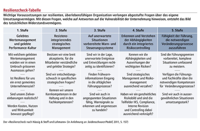 Resilienzcheck_Tabelle_web.jpg