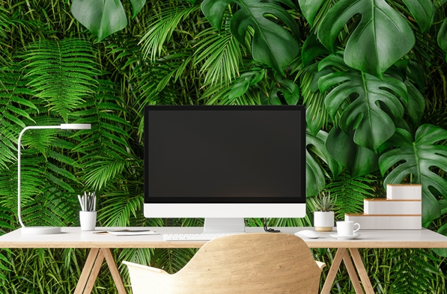 iStock-1250732299.jpg
