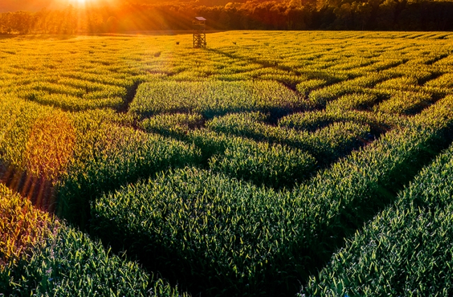 iStock-858091290_.jpg