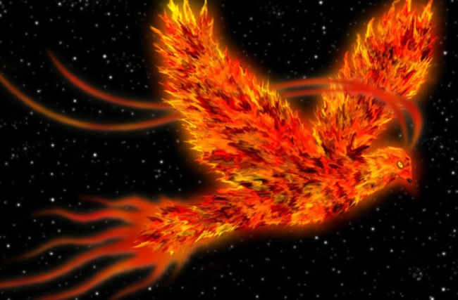 phoenyx-4_web.jpg