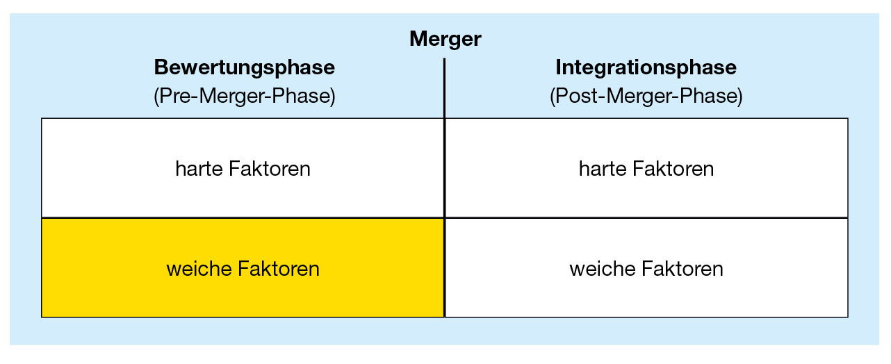 Weiche Faktoren Entscheiden über Erfolg Oder Misserfolg