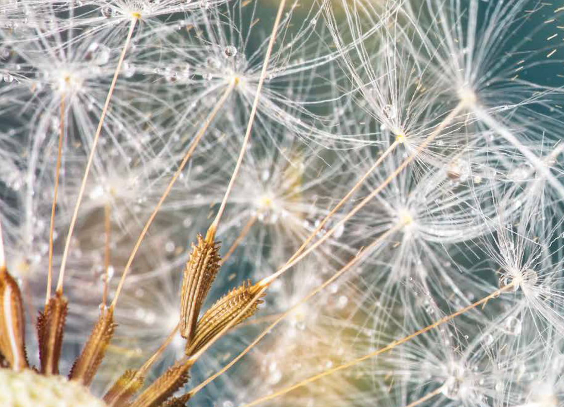 Photo: iStock