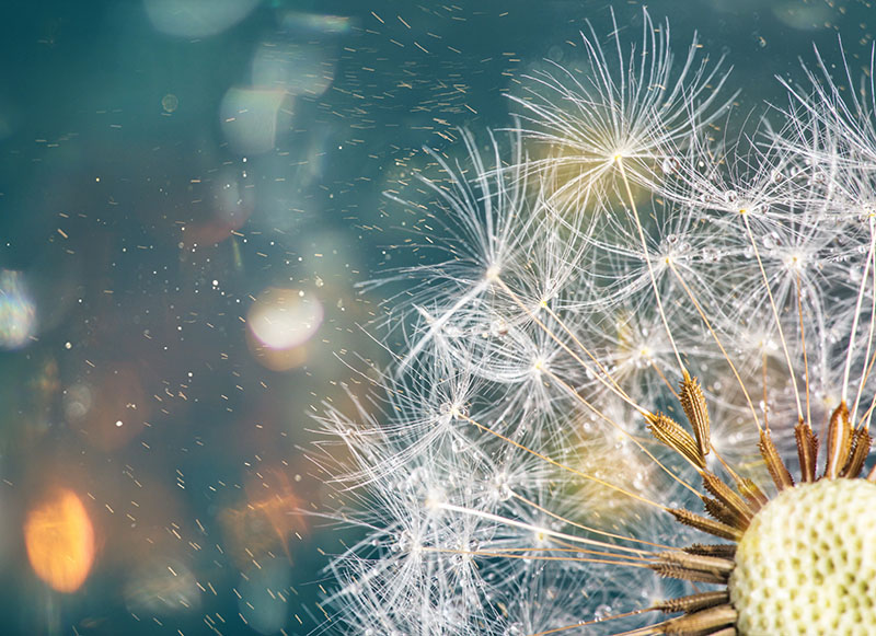 iStock