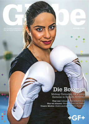 Intern_GLOBE_Cover.jpg