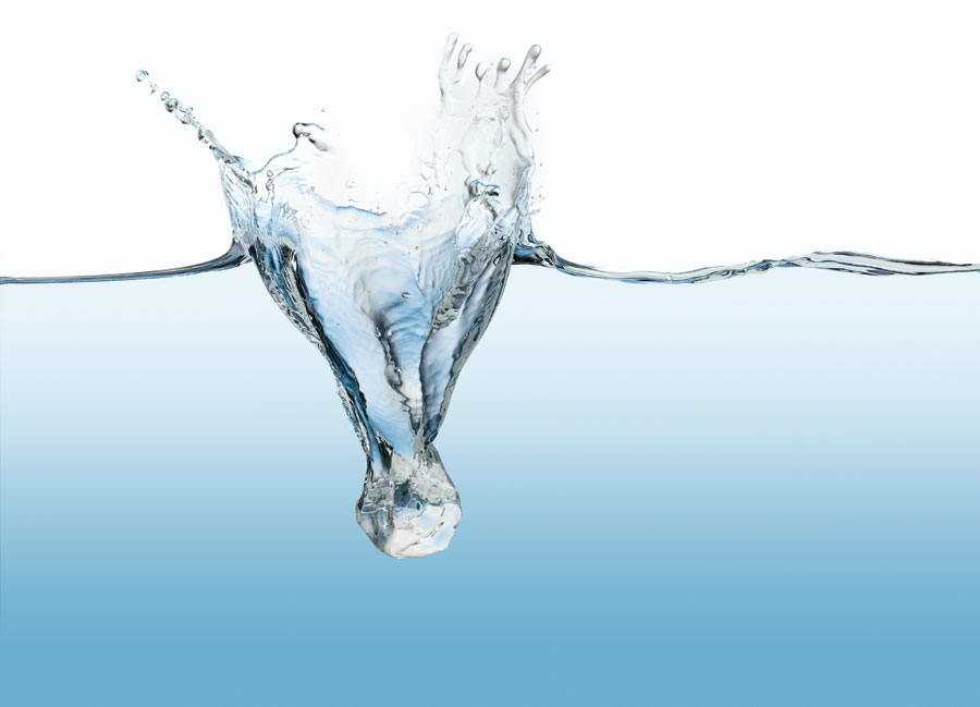 20_Metamorphose_iStockphoto.jpg