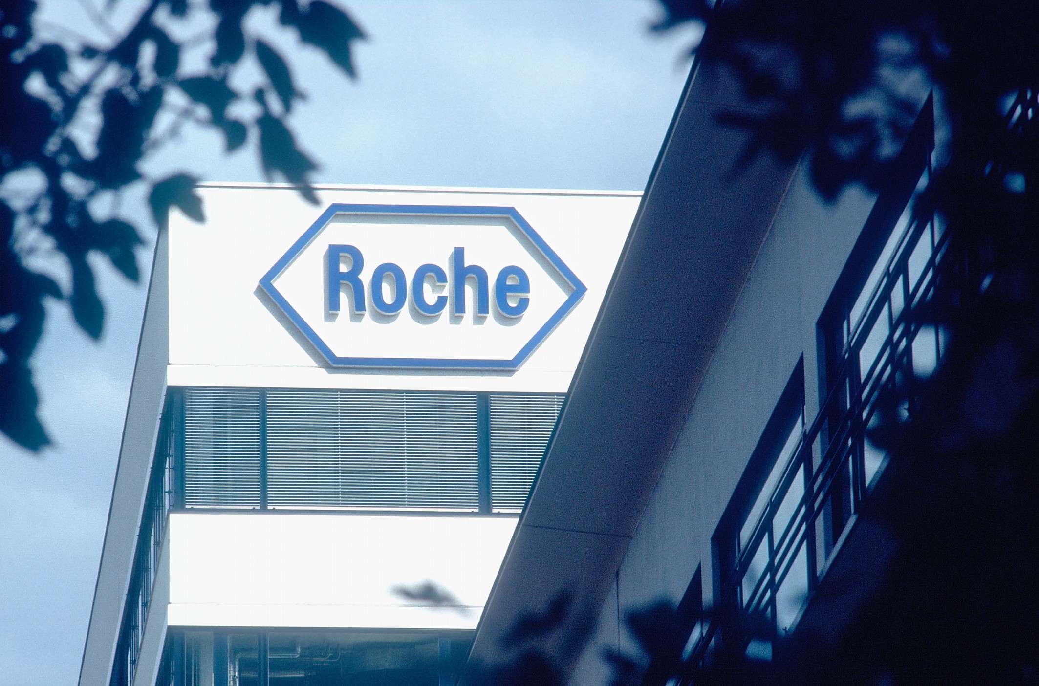 Roche.jpg