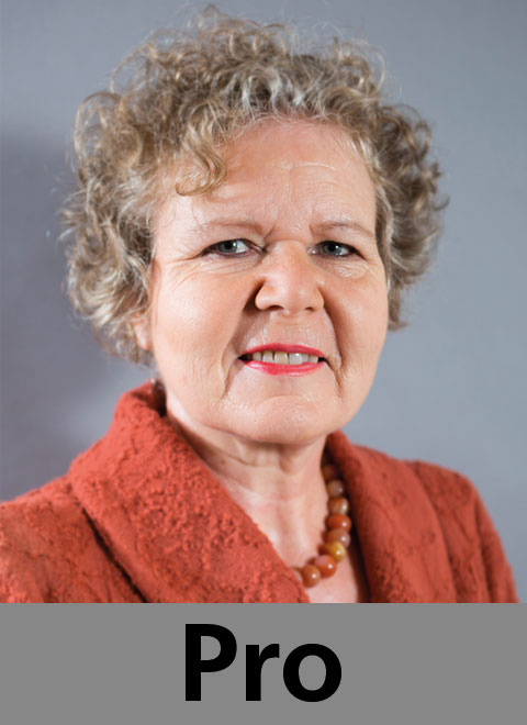 S.32_debatte-pro_11_13.jpg