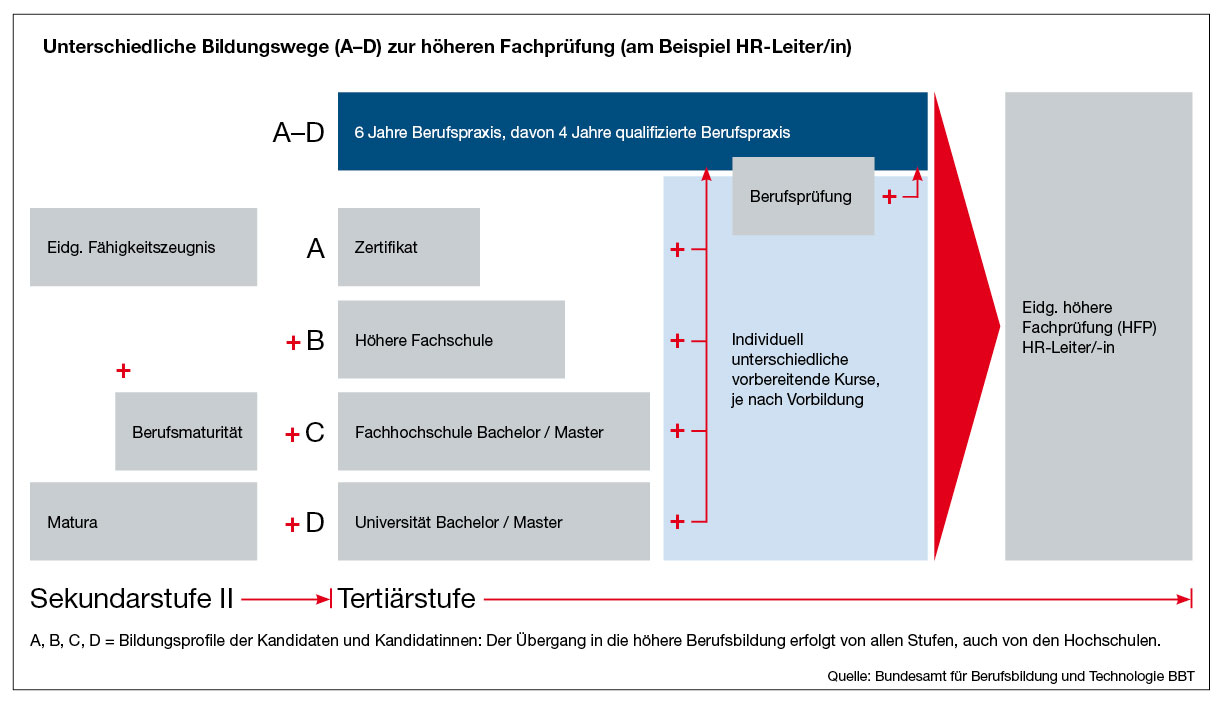 bildungswege.jpg