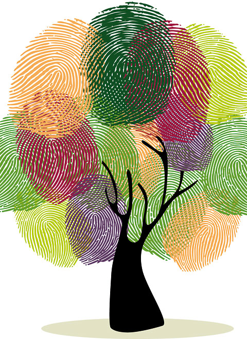 S.49-Baum_farbig_123RF.jpg