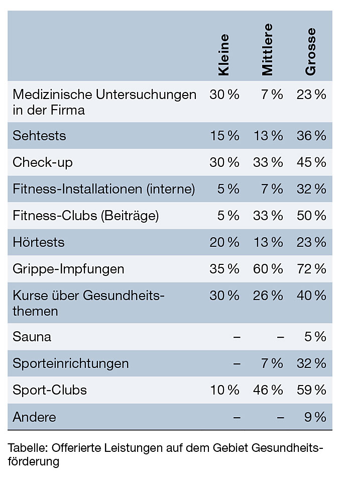 S.49_Grafik-Fringe-Benefits-12_08.jpg