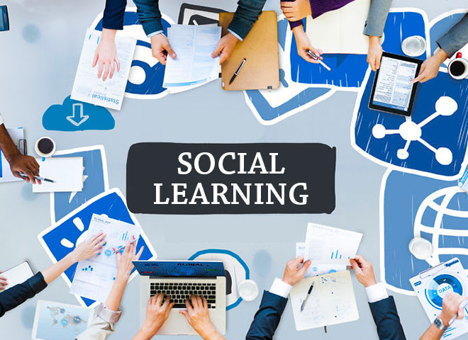 SocialLearning_43881441_123RF.jpg