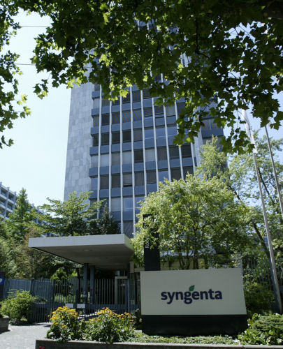 Syngenta1_Syngenta.jpg
