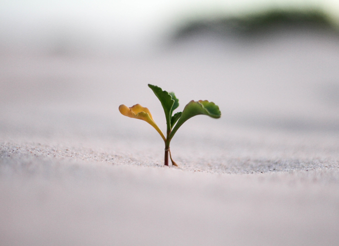 coaching_unsplash.jpg