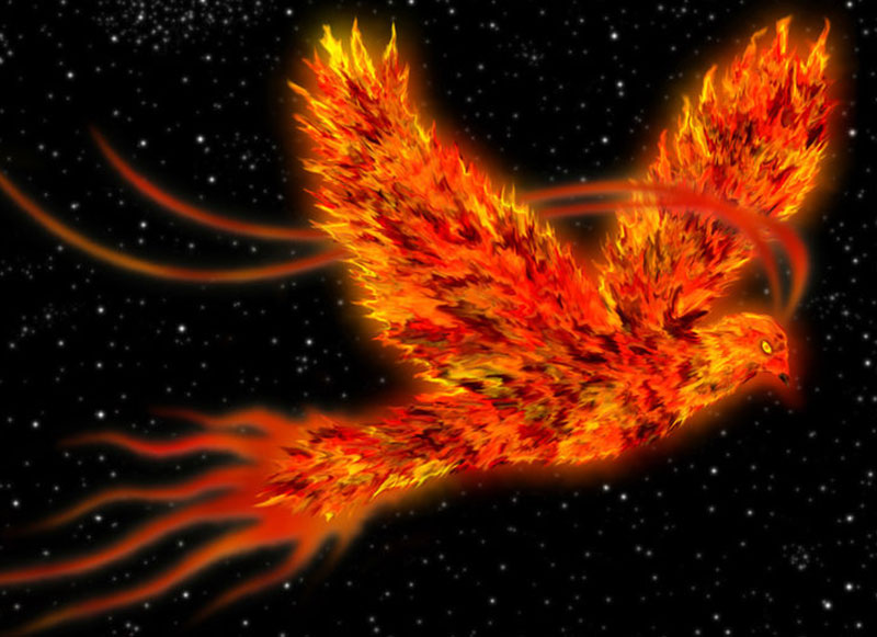phoenyx-4_web.jpg