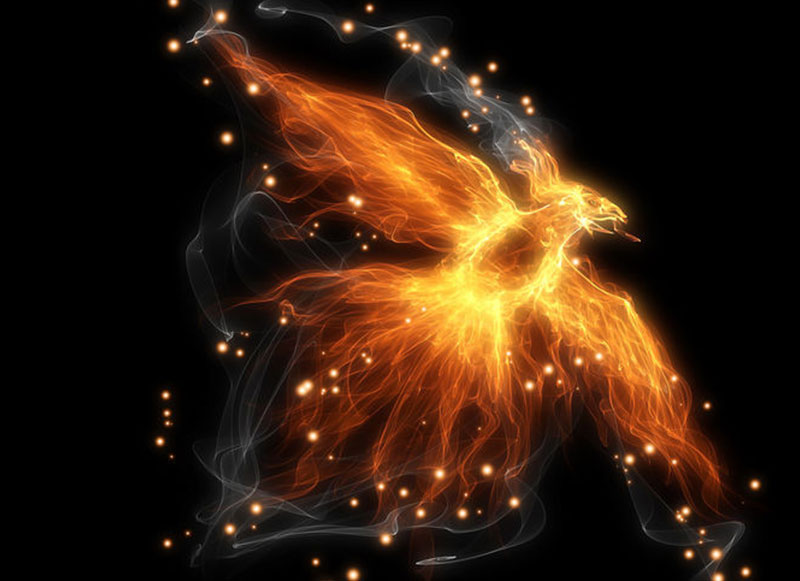 phoenyx-7_web.jpg