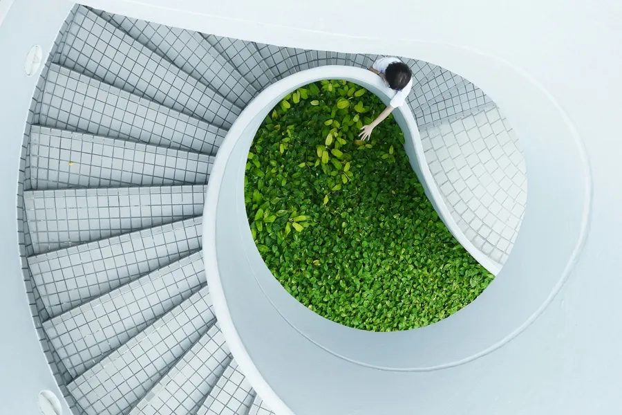 Un escalier avec des plantes vertes en bas