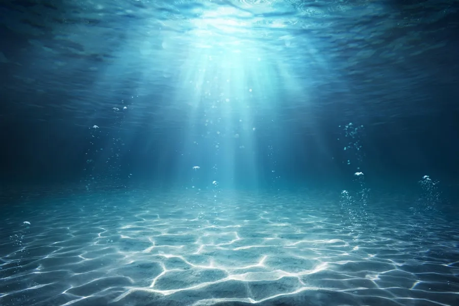 Le fond de la mer baigné par un rayon de soleil