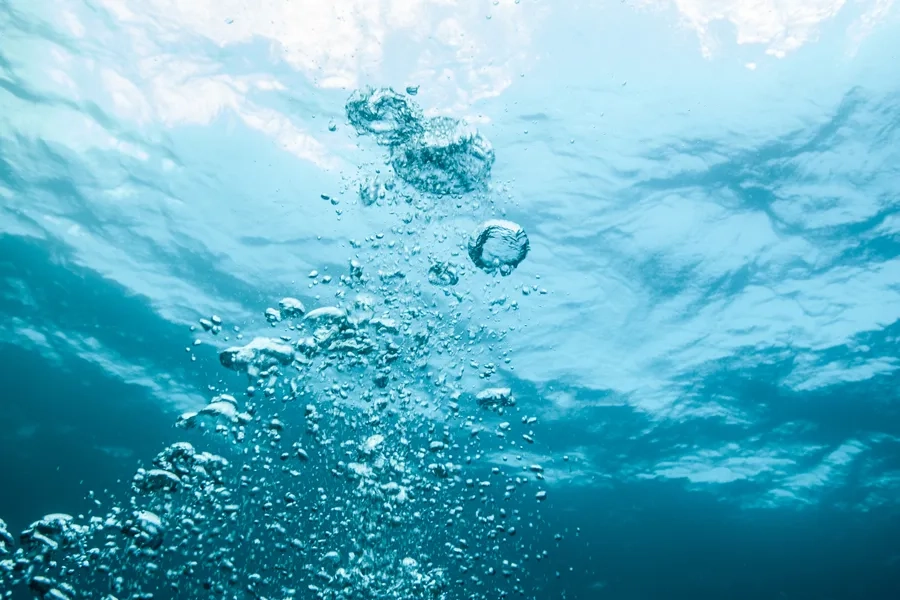 Photo: Jodi Jacobson / iStock