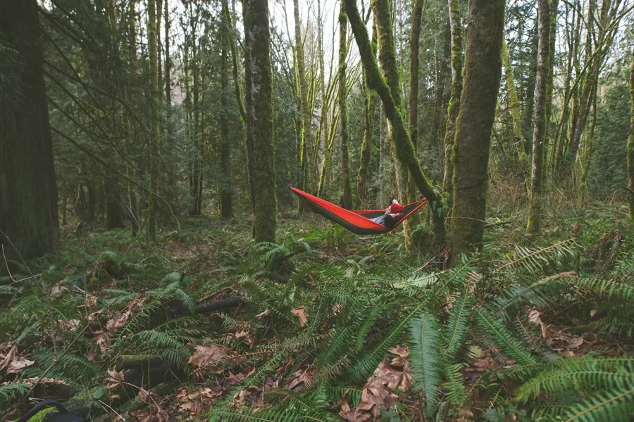 Un homme se détend dans une contemplation silencieuse, allongé dans un hamac suspendu entre deux arbres dans la forêt.