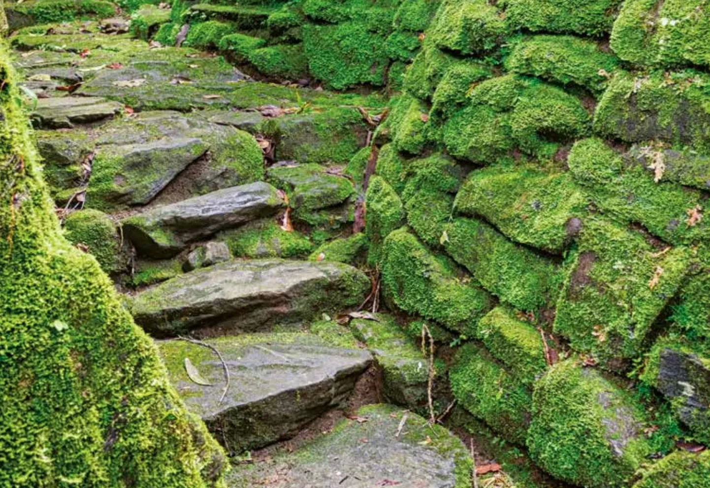 Capture d’écran 2021-01-28 à 13.03.25.png