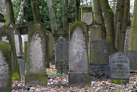 11_17438_juedischer_friedhof_hamburg.jpg
