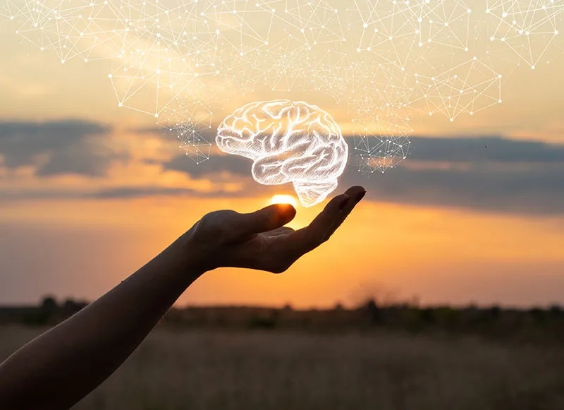 Digitalisierung_analoges-Hirn_web.jpg