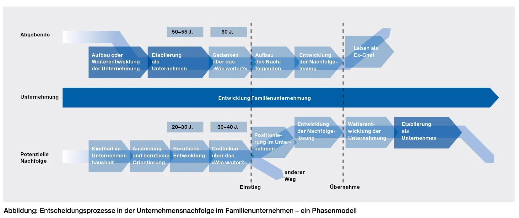 S.41_Grafik-Entscheidung-06_08.jpg