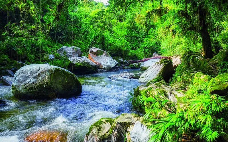 hrtoday entreprise est un corps vivant.jpg