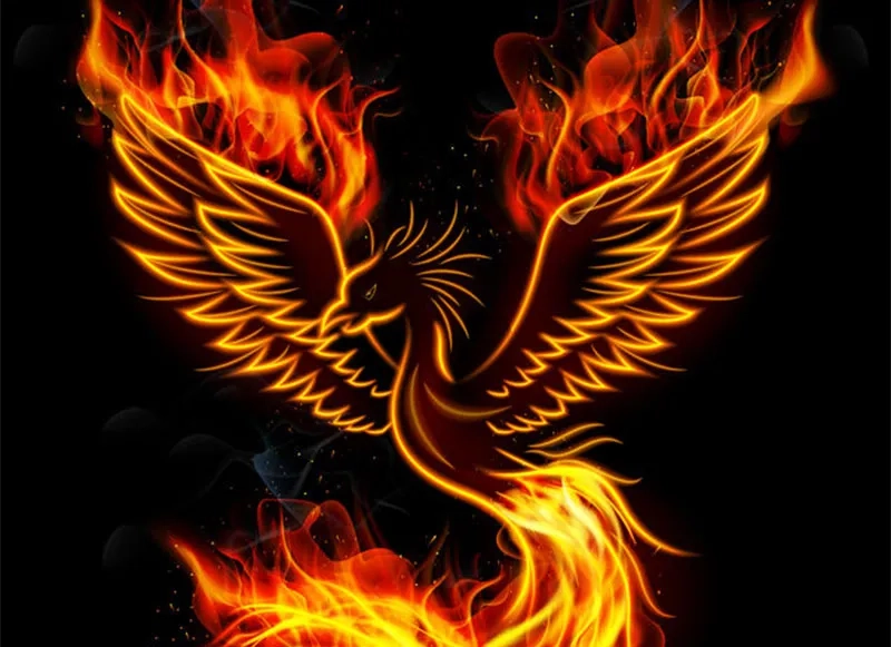 phoenyx-6_web.jpg