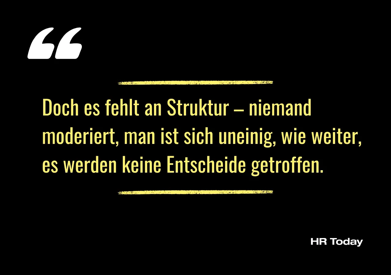 Artikelzitat: Doch es fehlt an Struktur – niemand moderiert, man ist sich uneinig, wie weiter, es werden keine Entscheide getroffen.