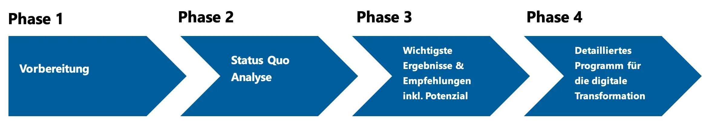 Grafik 1: Möglicher Ablauf eines digitalen Reifegradchecks