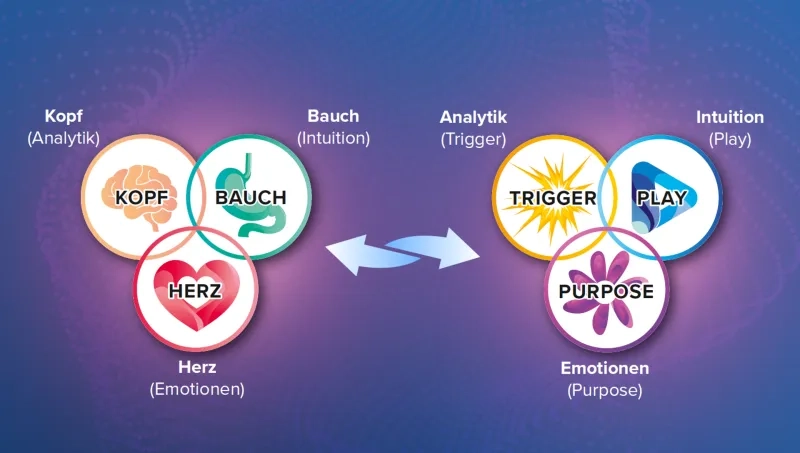 Infografik auf blau-violettem Hintergrund, die zwei aus drei überschneidenden Kreisen bestehende Diagramme zeigt, die durch einen doppelköpfigen Pfeil miteinander verbunden sind. Das linke Diagramm umfasst die Bereiche „Kopf (Analytik)“, „Bauch (Intuition)“ und „Herz (Emotionen)“ mit Symbolen von Gehirn, Magen und Herz. Das rechte Diagramm stellt diesen die Entsprechungen „Analytik (Trigger)“, „Intuition (Play)“ und „Emotionen (Purpose)“ gegenüber.